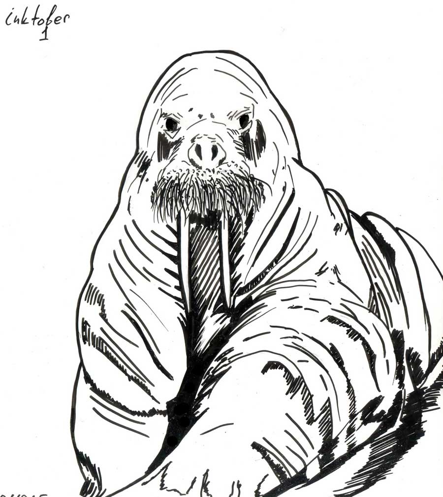 Inktober 2025. День первый. Тема: «Усы / Mustache». Inktober 2025. День первый. Тема: «Усы / Mustache».